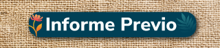 Informe Previo Rendición de cuentas 2025