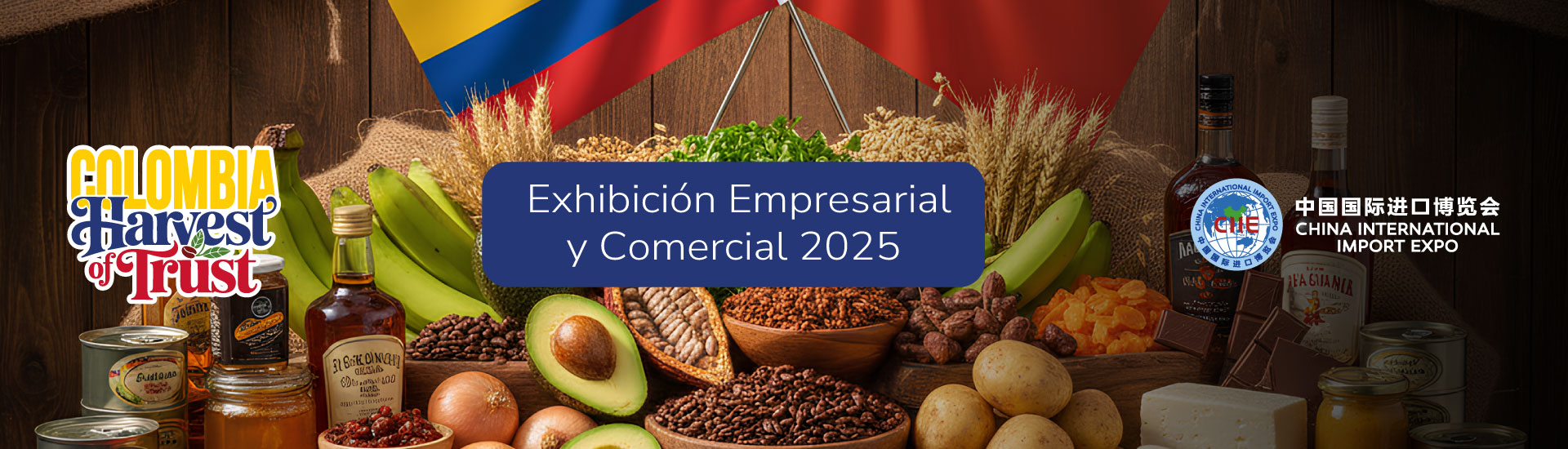 banner interno micrositio CIIE 2025