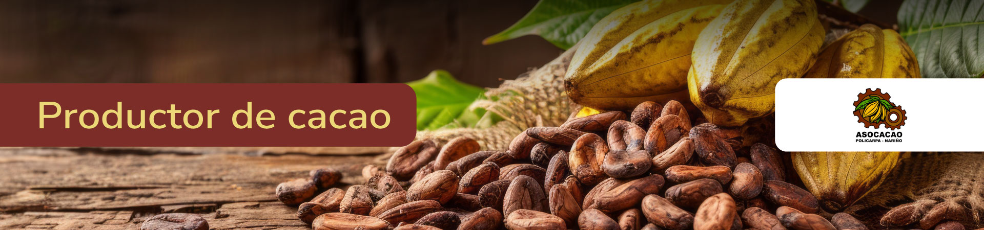 cacao-asocacao-policarpa-banner-micrositio-Shangai