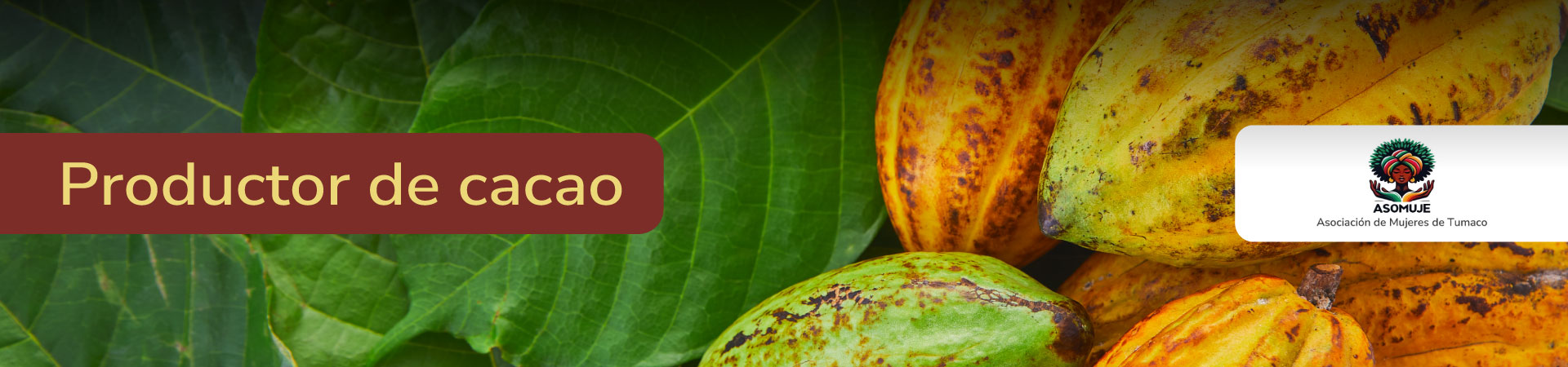 cacao-asomuje-banner-micrositio-Shangai
