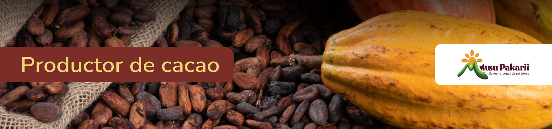 cacao-musu-pakari-banner-micrositio-Shangai