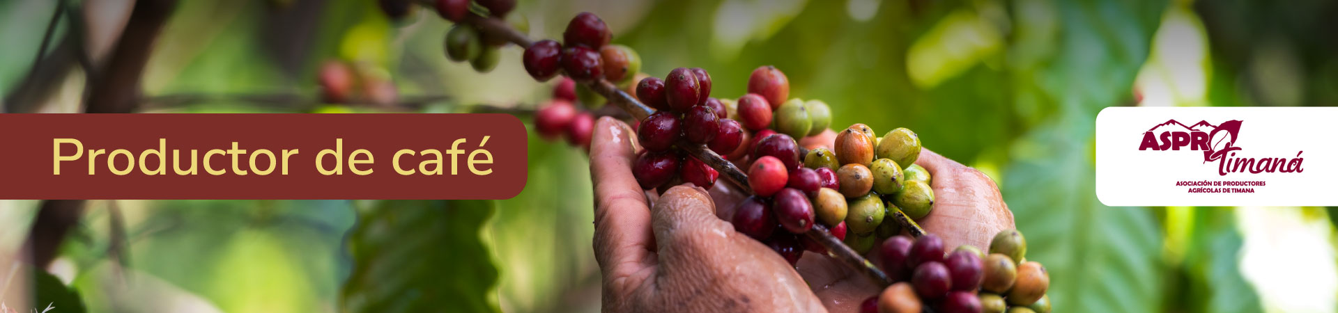 cafe-asprotimana-banner-micrositio-Shangai