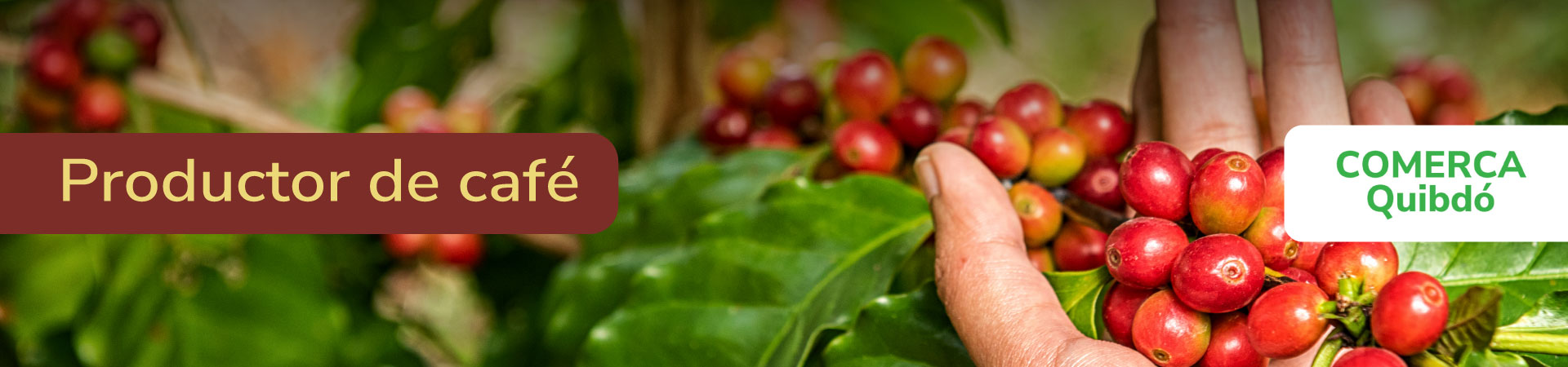 cafe-comerca-banner-micrositio-Shangai