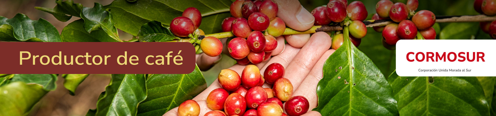 cafe-cormosur-banner-micrositio-Shangai