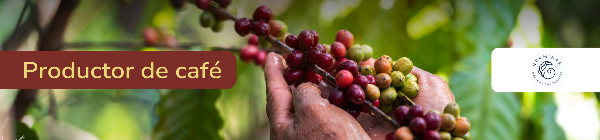 cafe-germinar-banner-micrositio-Shangai