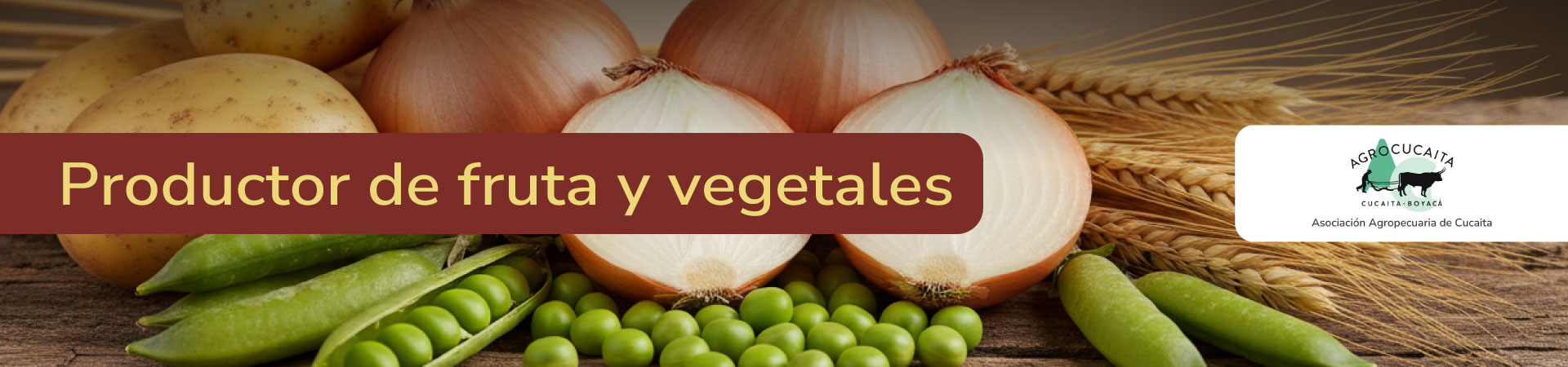 frutas-y-vegetales-agrocucaita-banner-micrositio-Shangai