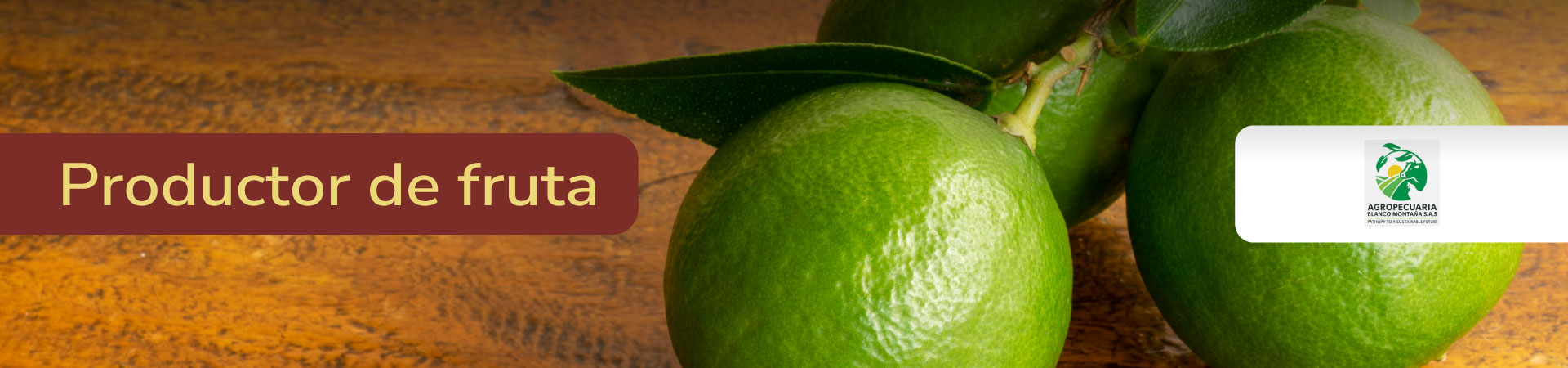 frutas-y-vegetales-agropecuaria-blanco-montano-banner-micrositio-Shangai