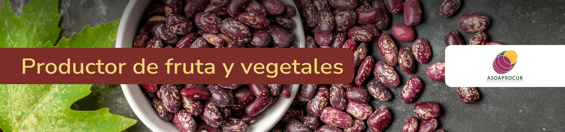 frutas-y-vegetales-asoaprocur-banner-micrositio-Shangai
