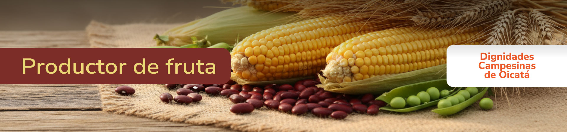 frutas-y-vegetales-dignidades-campesinas-de-oicata-banner-micrositio-Shangai