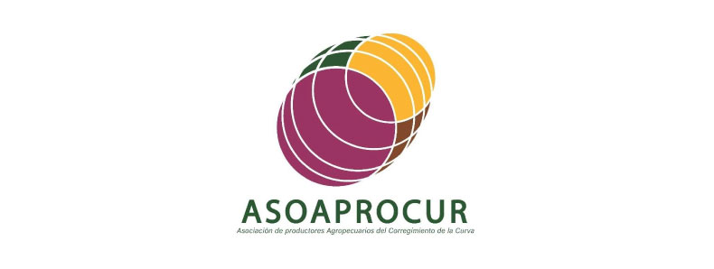 Logo ASOAPROCUR
