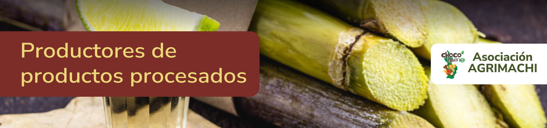 procesados-agrimachi-choco-bham-fruits-banner-micrositio-Shangai