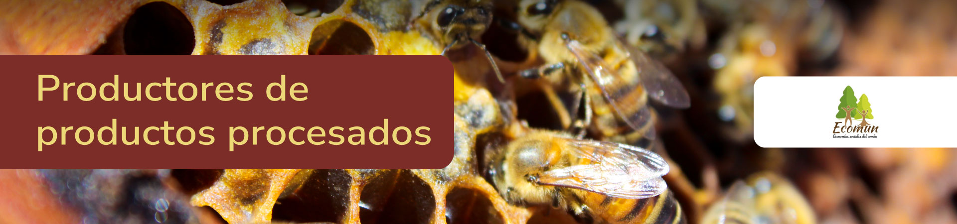 procesados-ecomun-banner-micrositio-Shangai