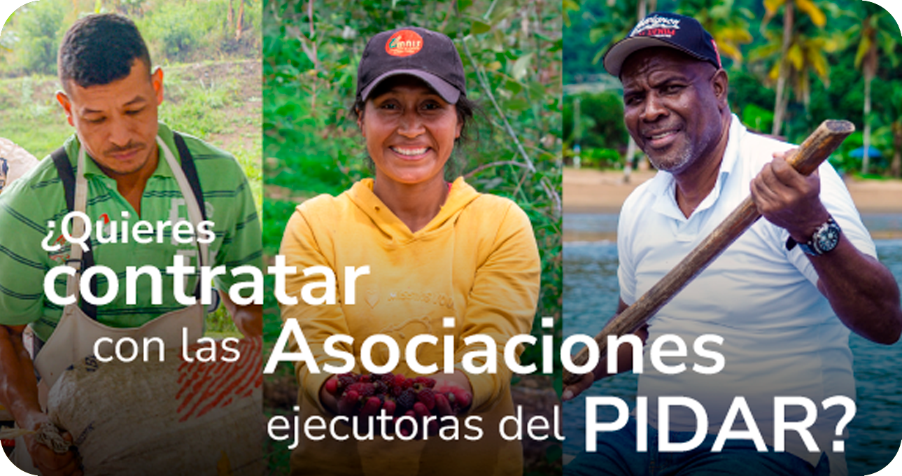 Botón Contrata con entidads PIDAR