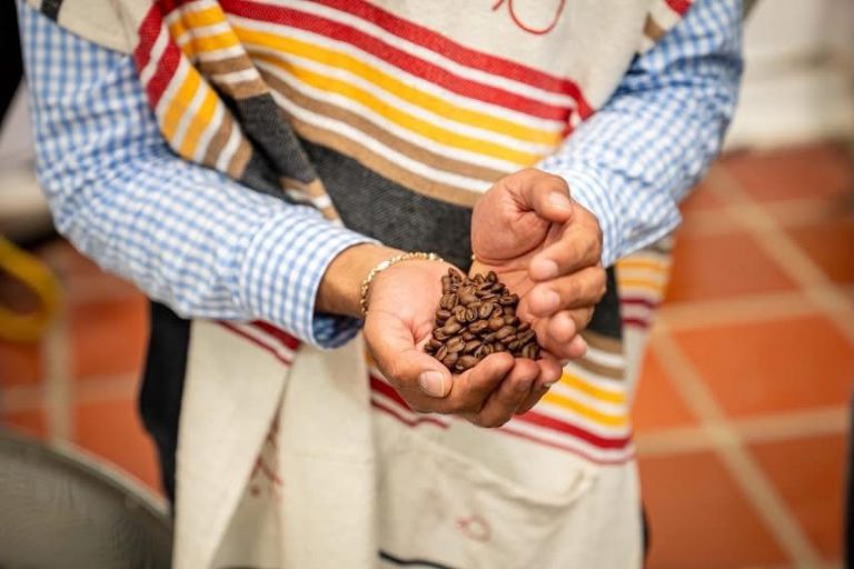 Europa pone sus ojos en el café de zonas PDET la ADR articula negocios directos en Nariño y Tolima6