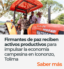 Firmantes de paz reciben activos productivos para impulsar la economía campesina en Icononzo, Tolima