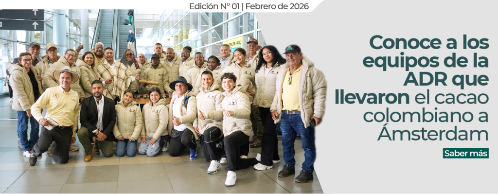 Conoce al equipo Ámsterdam