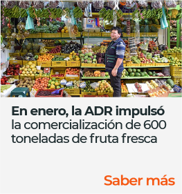 En enero, la ADR impulsó la comercialización de 600 toneladas de fruta fresca