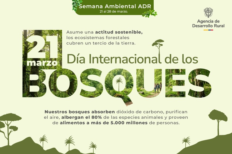 Día Internacional de los Bosques