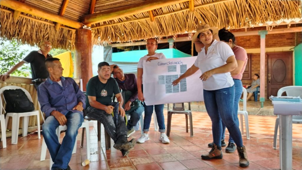 Derivados lácteos de búfalo en procesos de reincorporación - ADR Norte de Santander