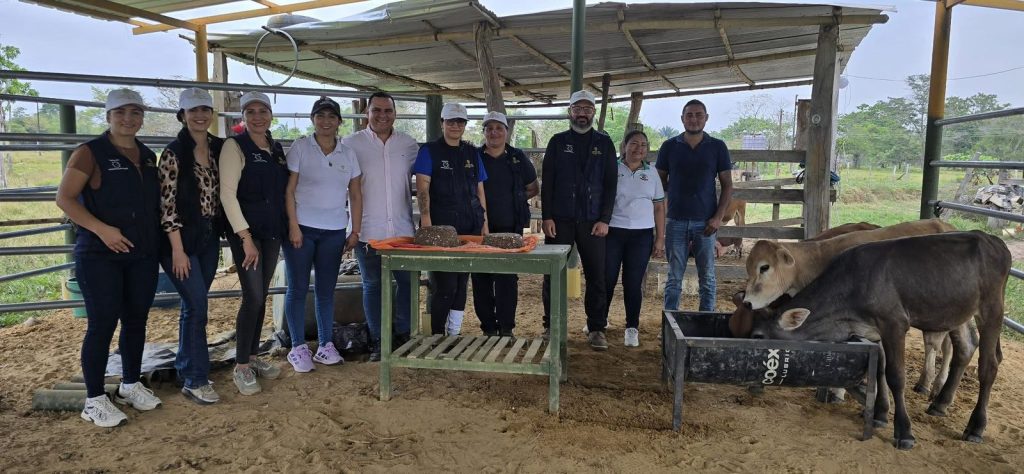 “Extensionistas de la ADR brindando asistencia técnica en Arauca”