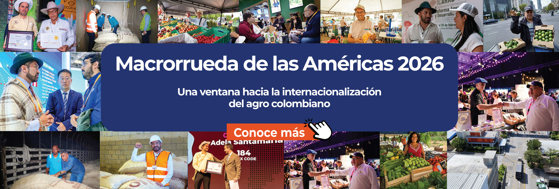 Micrositio Macrorrueda de Negocios de las Américas