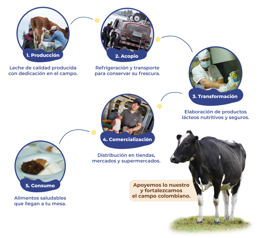 Infografía Cadena Láctea Colombiana