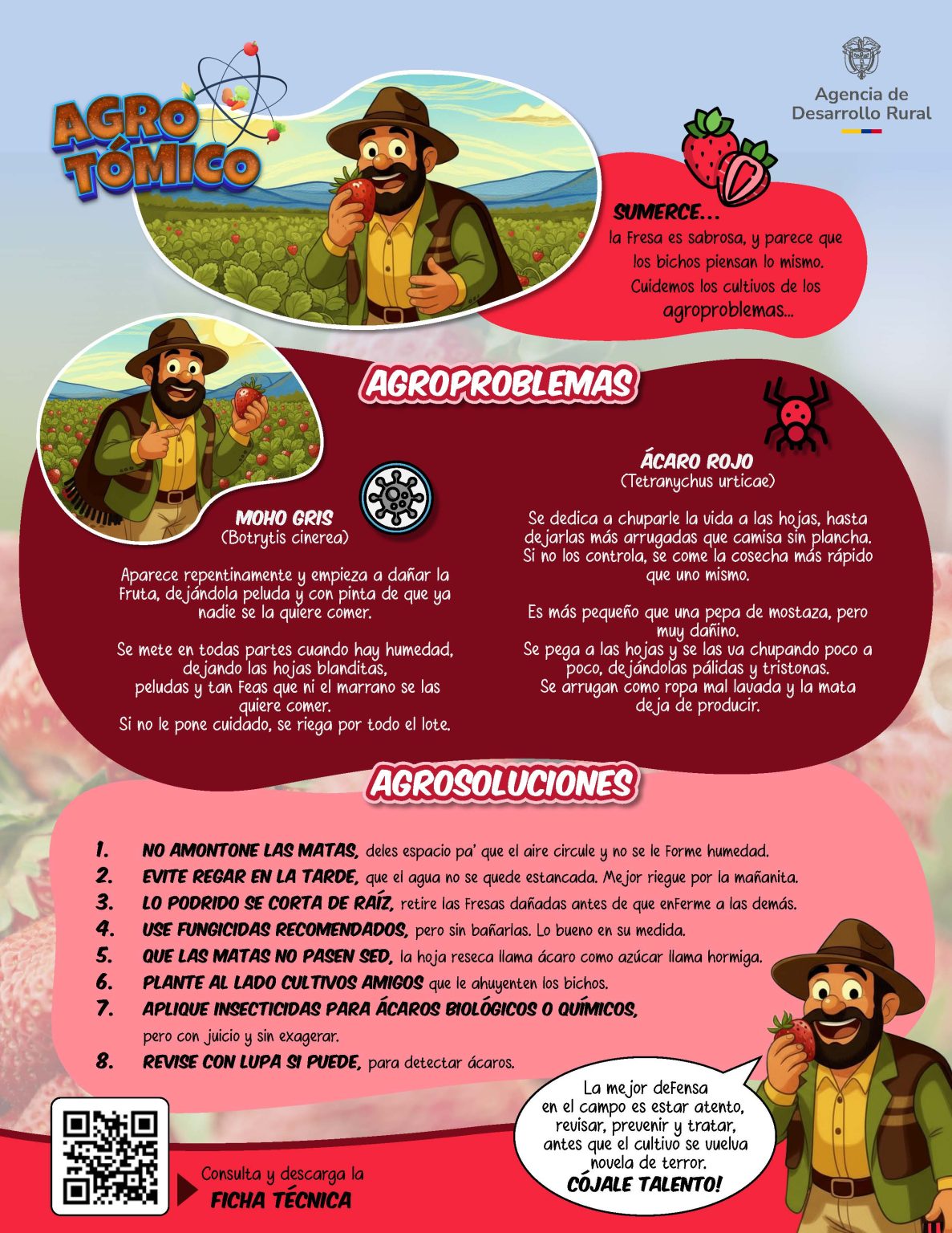 Infografía cuidado de la fresa