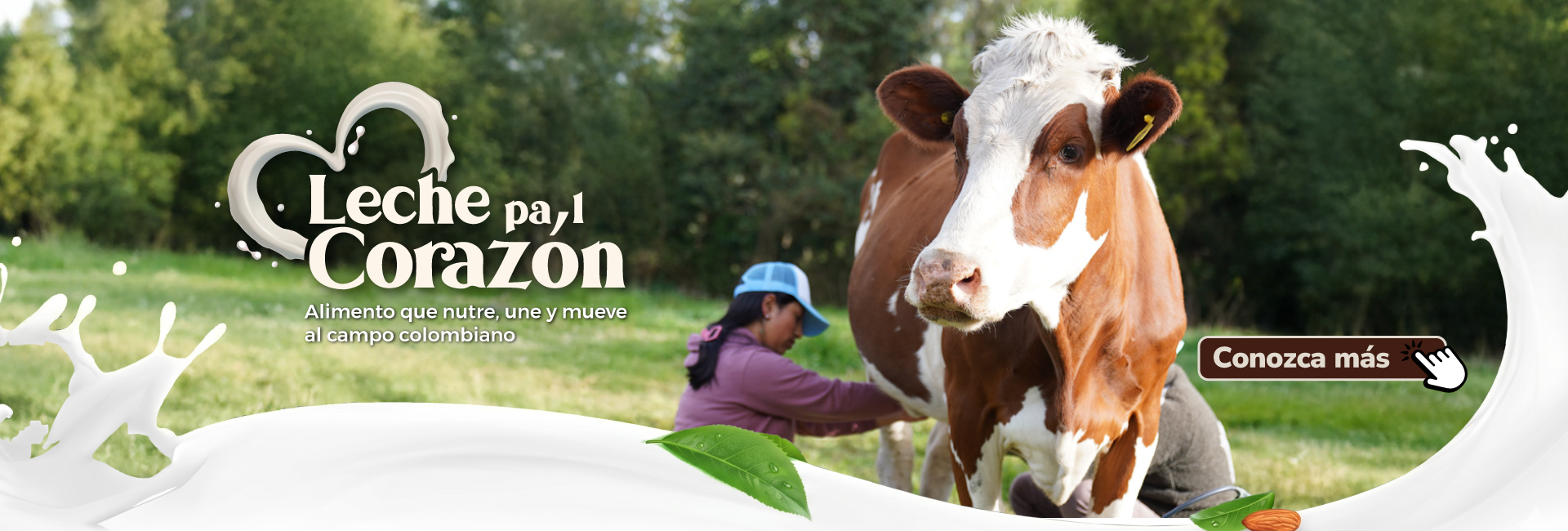 Micrositio Leche Pa'l corazón