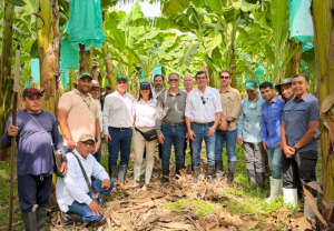 ADR y ASBAMA articulan acciones para fortalecer el sector agropecuario del Magdalena