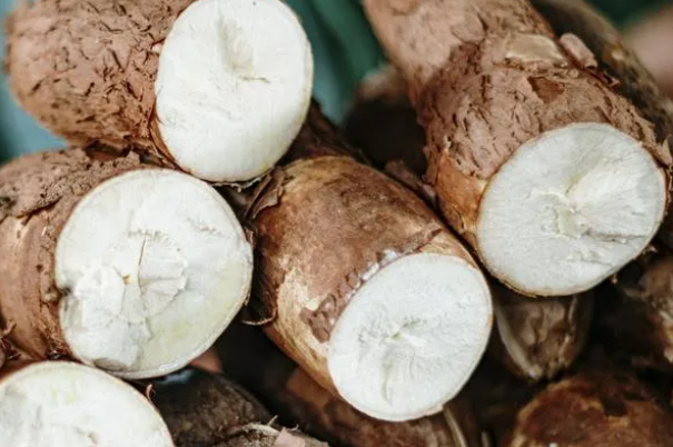 Buena noticia para los que comen yuca: se vienen millones en inversión