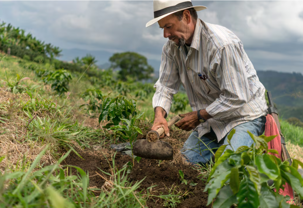 Gobierno activa estrategia para fortalecer el agro y atender las necesidades del campo en las regiones Tomada de revista semana