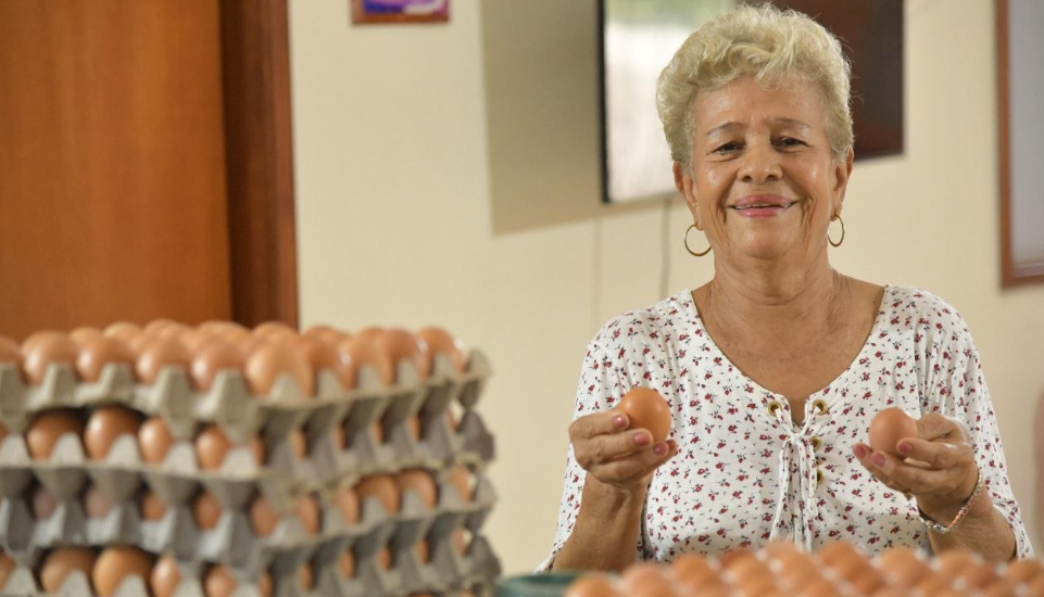 Durante el 2025, Colombia produjo 19.402 millones de huevos.