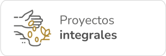 Proyectos Integrales