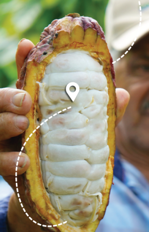 img-coprocaguamuez